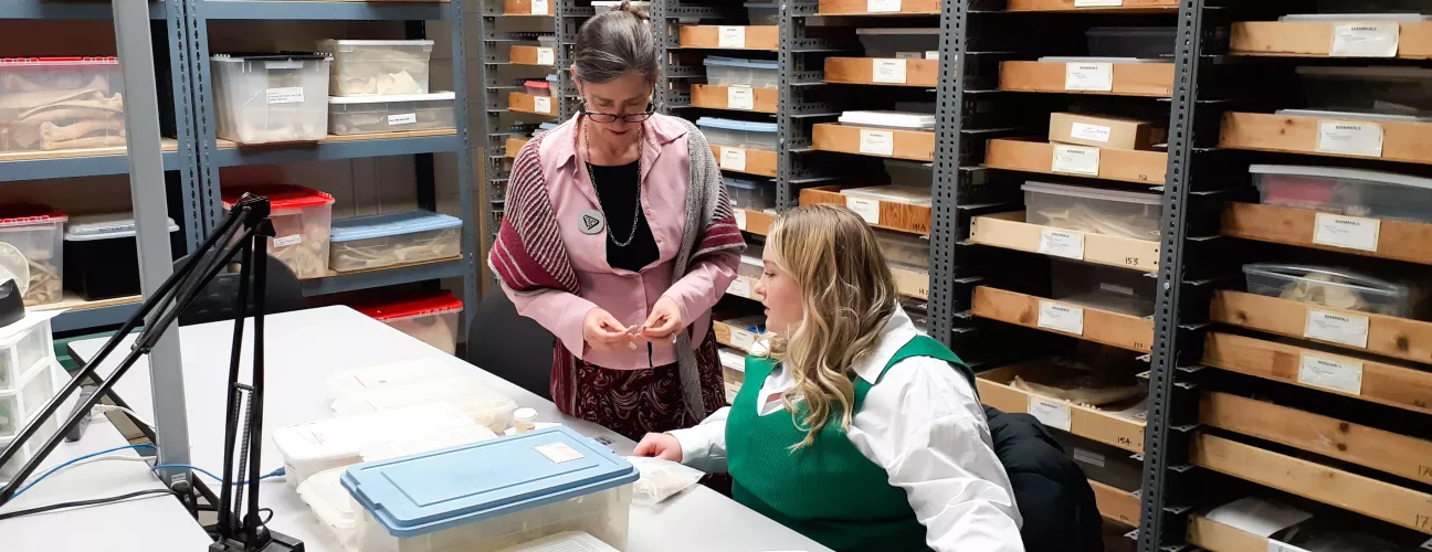 two people at a table in a lab surrounded by tray drawers