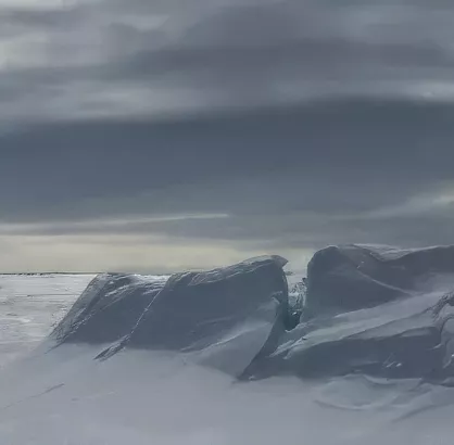 Arctic