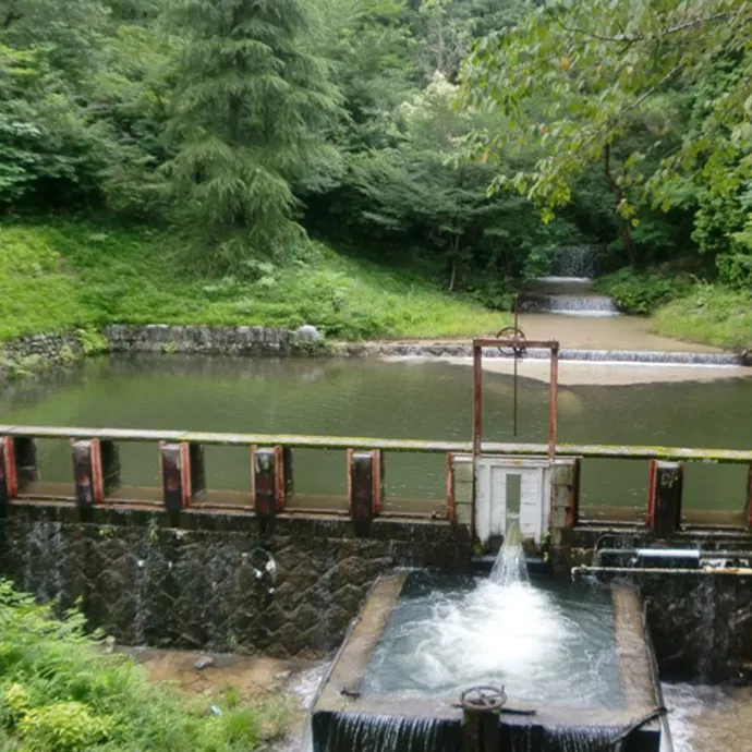 GGR407 Ecohydrology